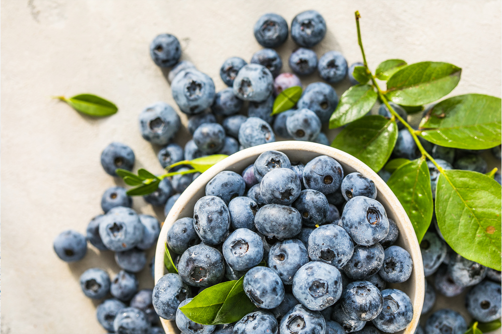 blueberries 3 blueberries 3